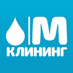 Фотография Максимум-Клининг 3